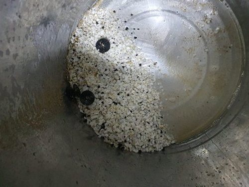 남양주 하수구막힘 별내면 하수구막힘 빌라 배수 지연 전 확인할 점
