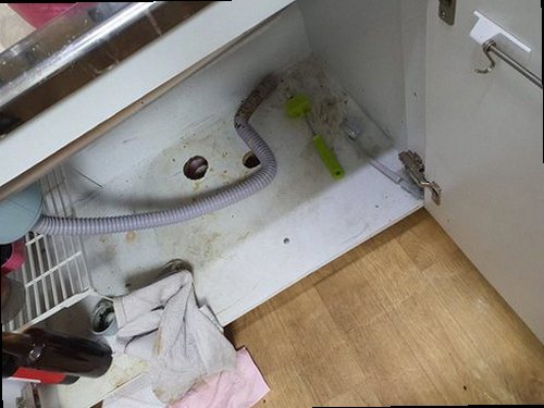 남양주 진건읍 하수구막힘 배수관 내부 점검과 막힘 원인 확인 과정
